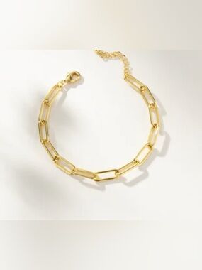 Paperclip Chain Bracelet N1058